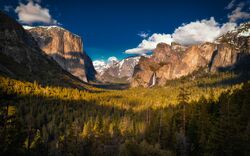 Yosemite 2.jpg