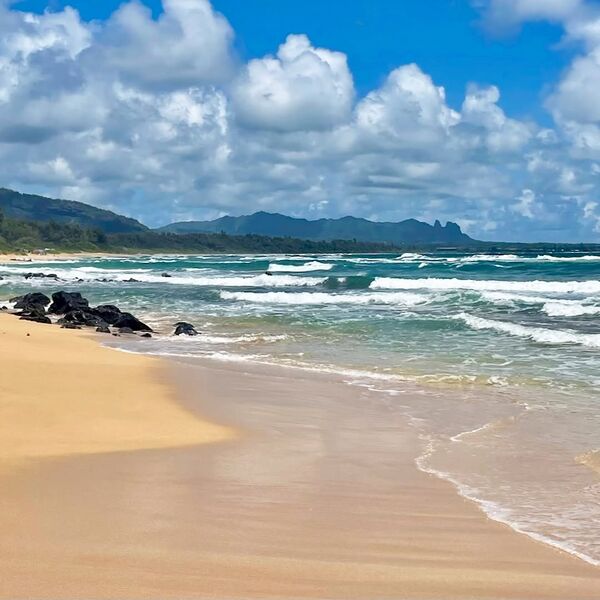 File:Condo beach.jpg